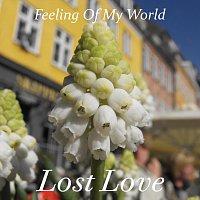 Lost Love – Feeling Of My World