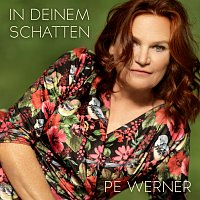 Přední strana obalu CD In deinem Schatten