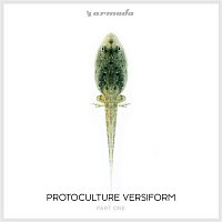 Protoculture – Versiform, Pt. 1