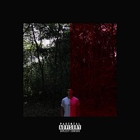 Přední strana obalu CD Fake Smiles