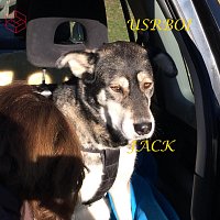 Přední strana obalu CD Jack