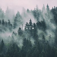 Nils Hahn – Calm