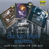 Přední strana obalu CD A Salute To The Chicago Blues Masters