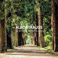 Přední strana obalu CD Peaceful Promenade