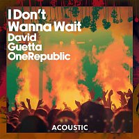 David Guetta & OneRepublic – I Don't Wanna Wait (Acoustic)