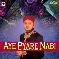 Přední strana obalu CD Aye Pyare Nabi