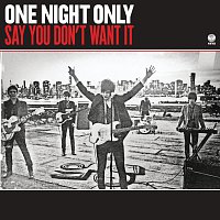 One Night Only – Say You Don't Want It