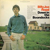 Billy Joe Royal – Down in the Boondocks
