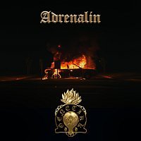 Genetikk, LX – ADRENALIN