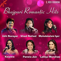 Mahalakshmi Iyer, Udit Narayan, Pamela Jain, Devashish Gupta, Reema, Vinod Rathod – Bhojpuri Romantic Hits