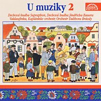 Přední strana obalu CD U muziky 2 To nejlepší z české dechovky
