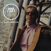 Andrew McMahon in the Wilderness – Slow Burn
