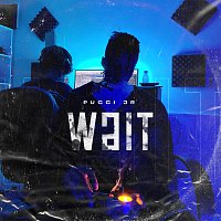 Pucci Jr – Wait