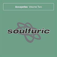 Various  Artists – Soulfuric Accapellas, Vol. 2