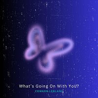 Connor LeBlanc – What’s Going on with You?