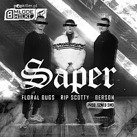 Floral Bugs, RIP SCOTTY, Berson, Szwed SWD, Popkiller Młode Wilki – Saper