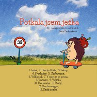 Potkala jsem ježka