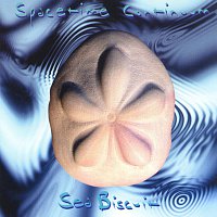 Spacetime Continuum – Sea Biscuit