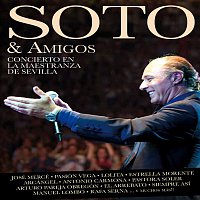 José Manuel Soto – Soto & Amigos. Concierto en la Maestranza de Sevilla