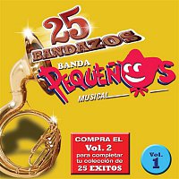 Banda Pequenos Musical – 25 Bandazos de Pequenos Musical (Vol. 1) (USA)