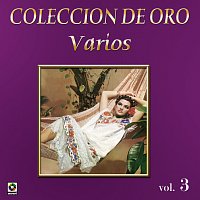 Různí interpreti – Colección De Oro: La Trova Yucateca, Vol. 3