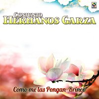 Conjunto Hermanos Garza – Como Me las Pongan Brinco