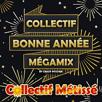 Collectif Métissé – Collectif Bonne Année Megamix [By Crazy Pitcher]