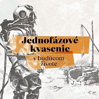 Jednofázové kvasenie – V budúcom živote