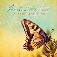 Přední strana obalu CD Awaken My Soul