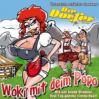 Přední strana obalu CD Woki mit deim Popo