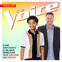 Cam Anthony, Blake Shelton – She Drives Me Crazy [The Voice Performance]