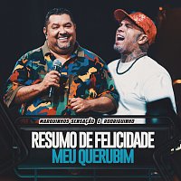 Marquinhos Sensacao, Rodriguinho – Resumo De Felicidade / Meu Querubim [Ao Vivo]