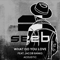 Seeb, Jacob Banks – What Do You Love [Acoustic]