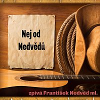 František Nedvěd ml. – Nej od Nedvědů MP3