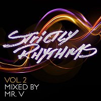 Mr V – Strictly Rhythms, Vol. 2 (Mixed by Mr V)