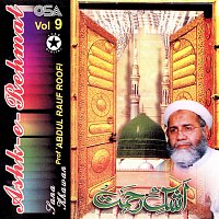 Prof. Abdul Rauf Roofi – Ashk-e-Rehmat, Vol. 9
