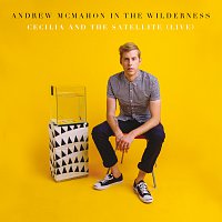 Andrew McMahon in the Wilderness – Cecilia And The Satellite [Live]
