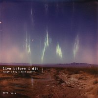 Live Before I Die [Naughty Boy x Mike Posner / TCTS Remix]