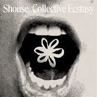 Přední strana obalu CD Collective Ecstasy