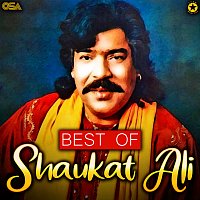 Shaukat Ali – Best Of Shaukat Ali