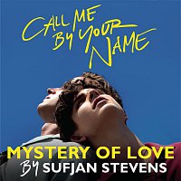 Sufjan Stevens – Mystery of Love