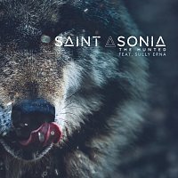 Saint Asonia, Sully Erna – The Hunted