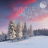 lebensgeist – Winter Calm