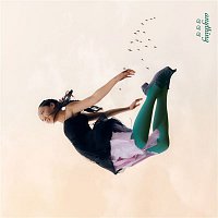 Přední strana obalu CD Anything