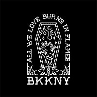 Bikkinyshop – In Flames FLAC