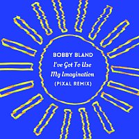 Bobby Bland – I've Got To Use My Imagination [Pixal Remix]