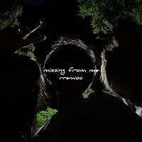 Přední strana obalu CD Missing from Me