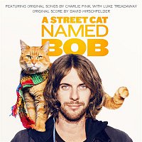 Přední strana obalu CD A Street Cat Named Bob (Original Motion Picture Soundtrack)