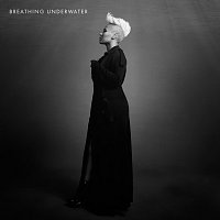 Emeli Sandé – Breathing Underwater [Matrix & Futurebound Remix]