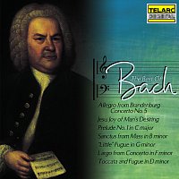 Různí interpreti – The Best of Bach